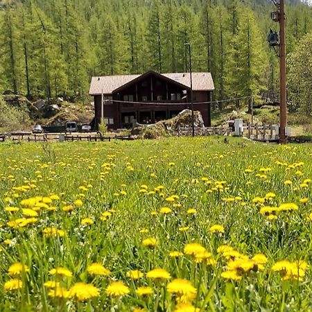 Chalet Rosa Dei Monti Hotel Valprato Soana Buitenkant foto