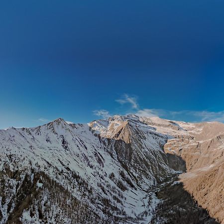 Chalet Rosa Dei Monti Piamprato Buitenkant foto