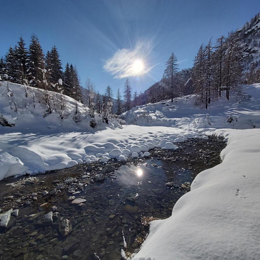 Chalet Rosa Dei Monti Piamprato Buitenkant foto