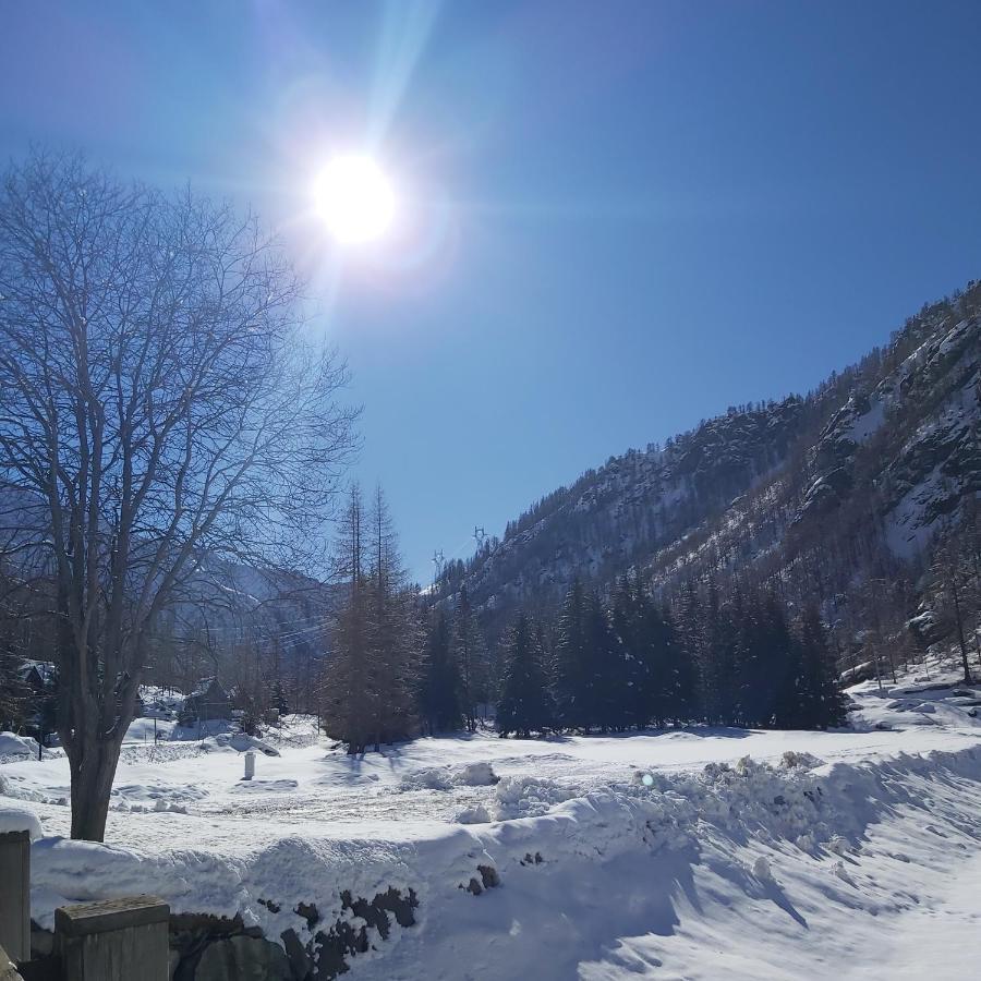 Chalet Rosa Dei Monti Piamprato Buitenkant foto
