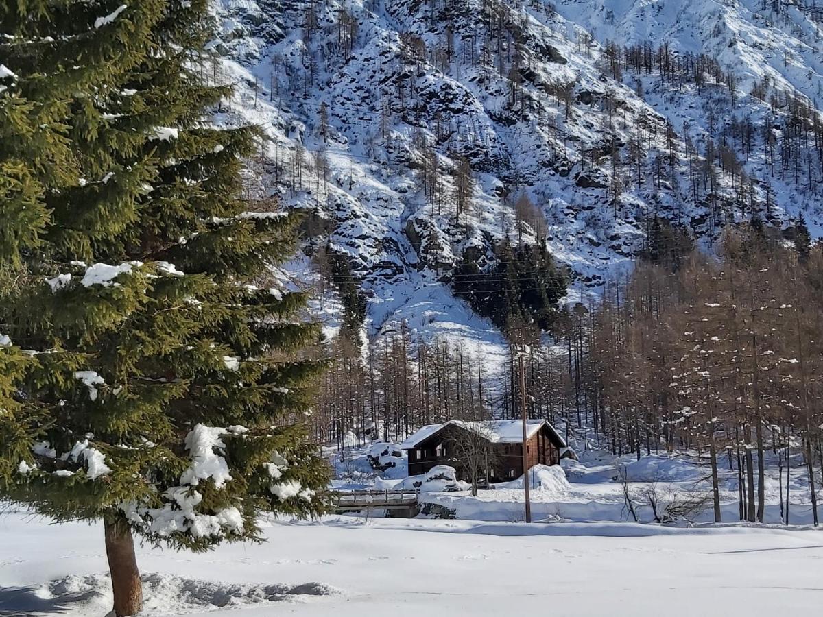 Chalet Rosa Dei Monti Hotel Valprato Soana Buitenkant foto