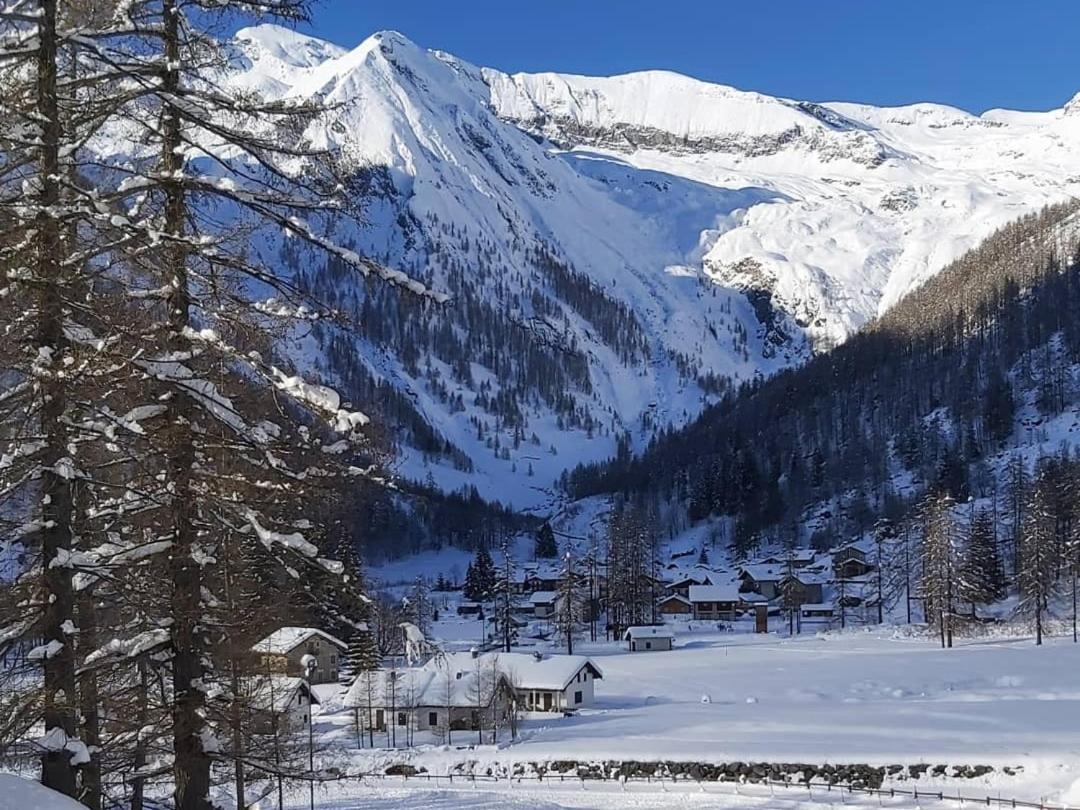 Chalet Rosa Dei Monti Piamprato Buitenkant foto