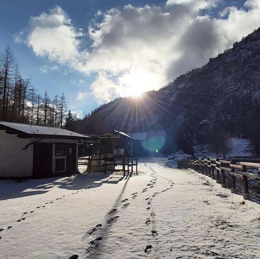 Chalet Rosa Dei Monti Hotel Valprato Soana Buitenkant foto