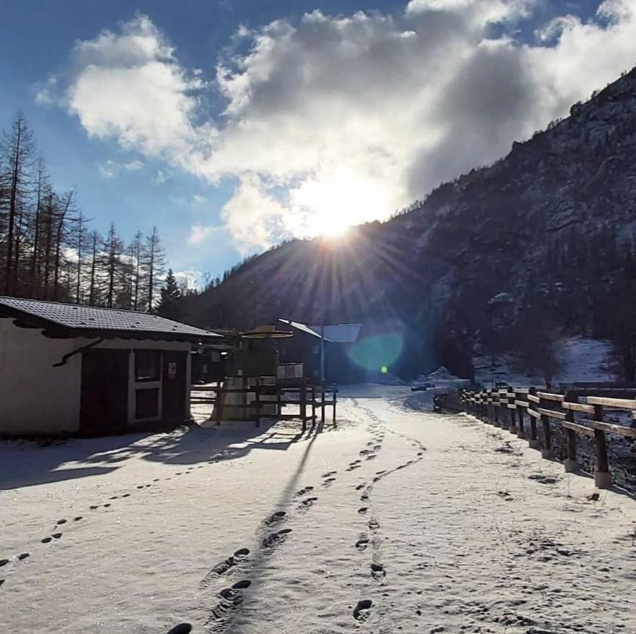 Chalet Rosa Dei Monti Piamprato Buitenkant foto