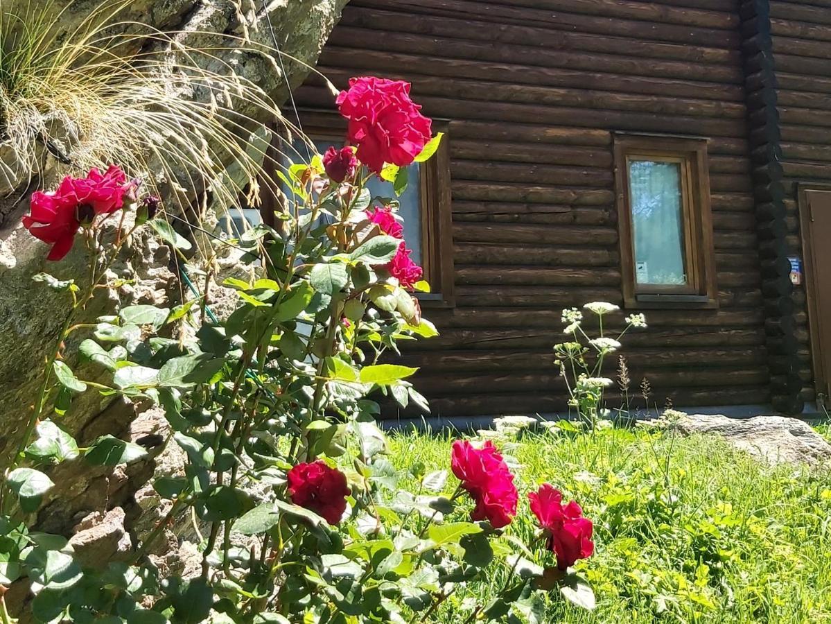 Chalet Rosa Dei Monti Piamprato Buitenkant foto