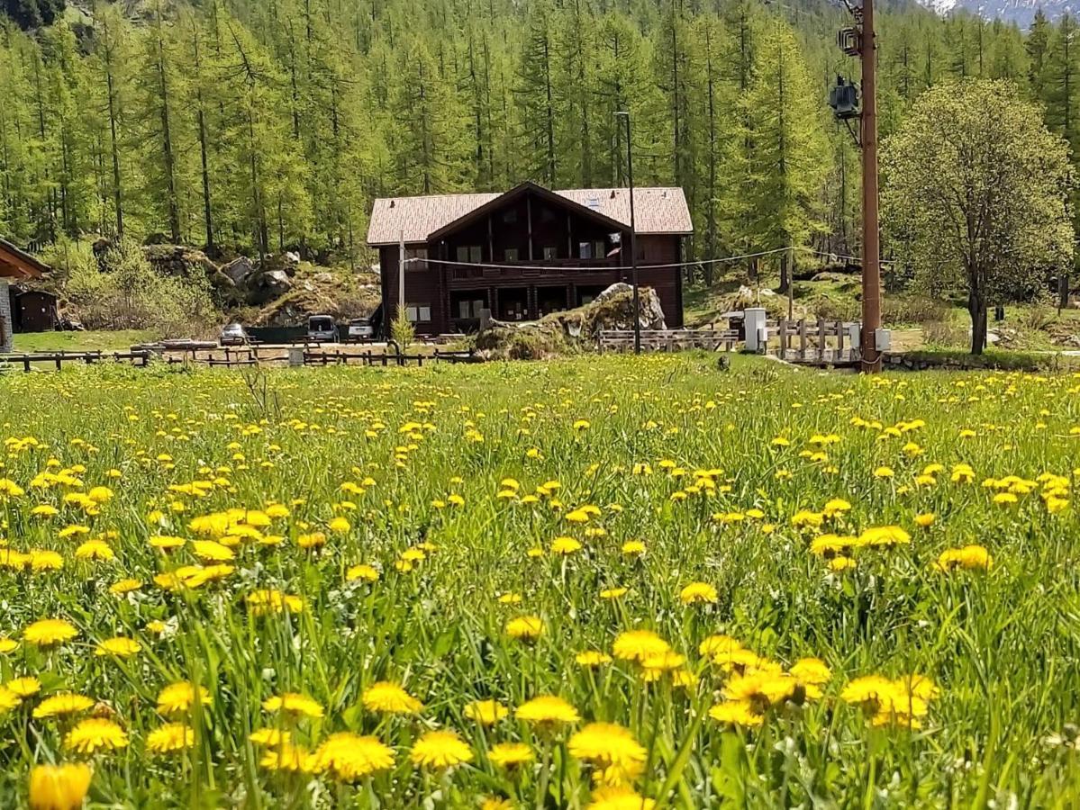 Chalet Rosa Dei Monti Hotel Valprato Soana Buitenkant foto