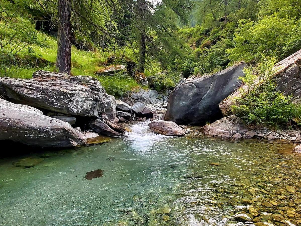 Chalet Rosa Dei Monti Piamprato Buitenkant foto