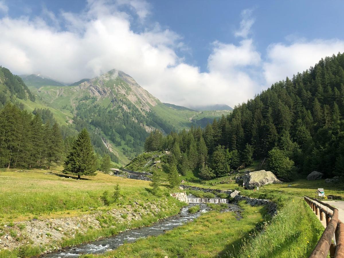 Chalet Rosa Dei Monti Piamprato Buitenkant foto