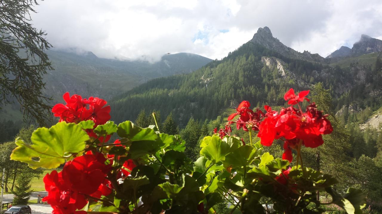 Chalet Rosa Dei Monti Hotel Valprato Soana Buitenkant foto