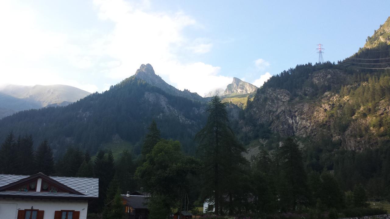 Chalet Rosa Dei Monti Piamprato Buitenkant foto