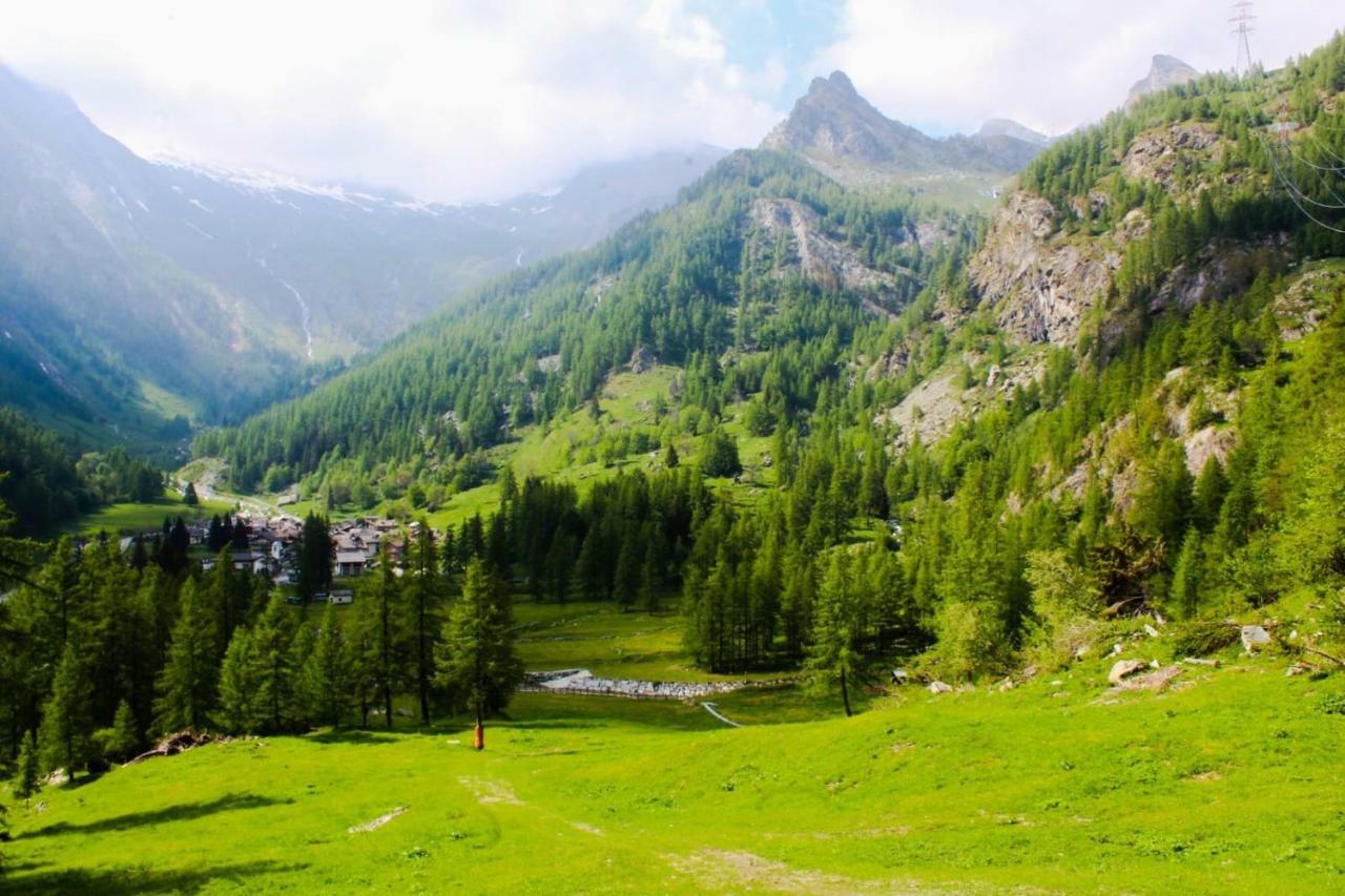 Chalet Rosa Dei Monti Hotel Valprato Soana Buitenkant foto