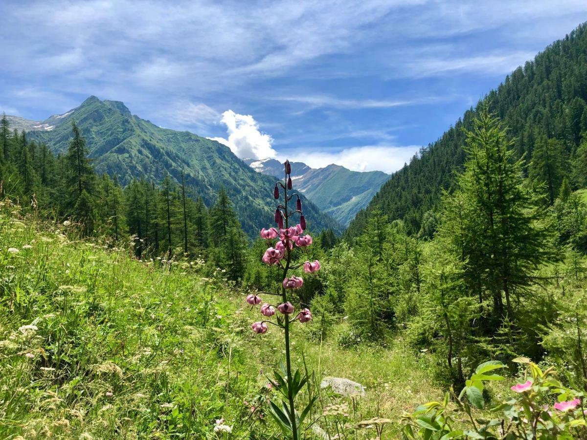 Chalet Rosa Dei Monti Hotel Valprato Soana Buitenkant foto